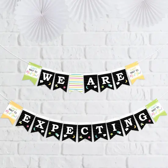 Big Dot of Happiness We Are Expecting - Pregnancy Announcement Mini Pennant Banner - We Are Expecting {1}