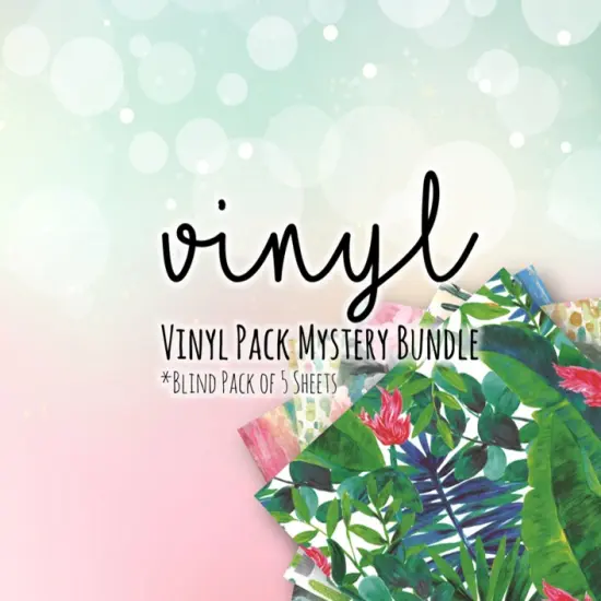 Vinyl Mystery Bundle! 5 Sheets total! Discounted! {1}