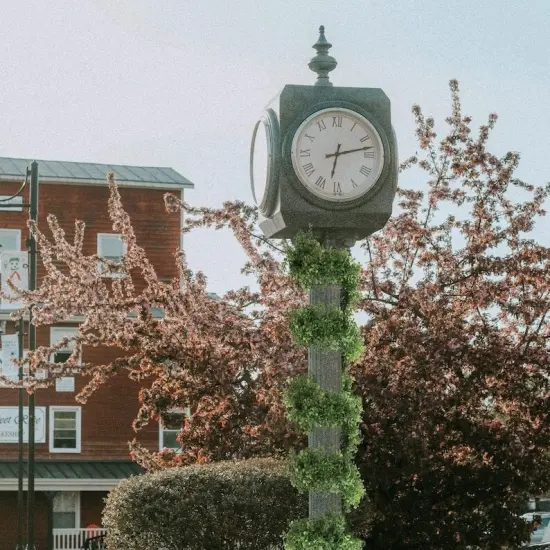 9ft Green Boxwood Garland - 384 Lifelike Tips, Faux Greenery for Home & Event Decor by Floral Home&reg; {2}