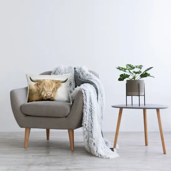 Stupell Industries Tan Highland Cow Decorative Printed Throw Pillow {2}