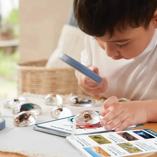 Kaplan Early Learning Company Specimen Stones: Bugs - 9 Pieces {3}