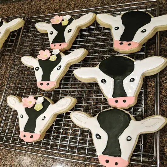 Ann Clark Cute Cow Face Cookie Cutter {4}