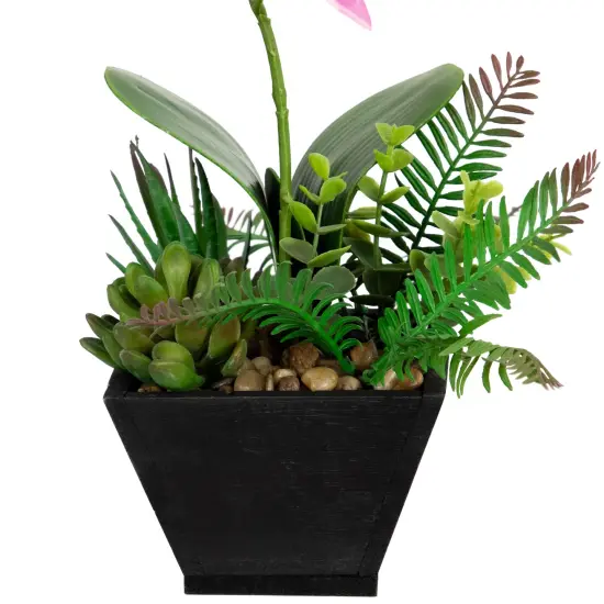 Northlight Artificial Orchid with Succulent Plants - 13" - Light Pink {5}
