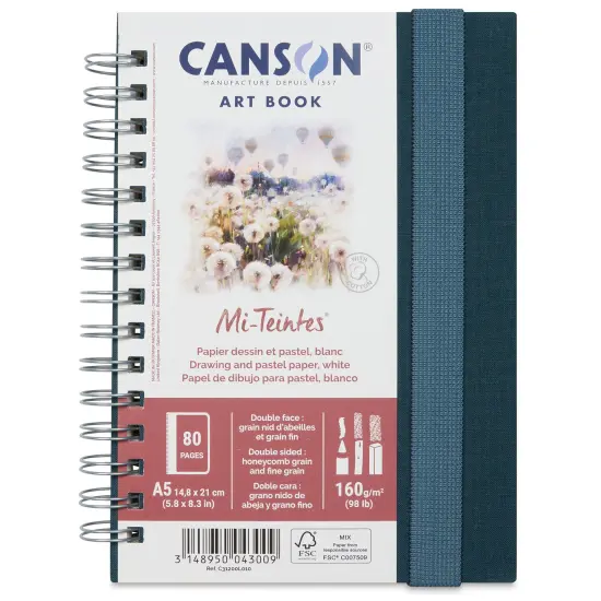 Canson Mi-Teintes Art Book - 5-7/8" x 8-1/4", 40 Sheets {1}