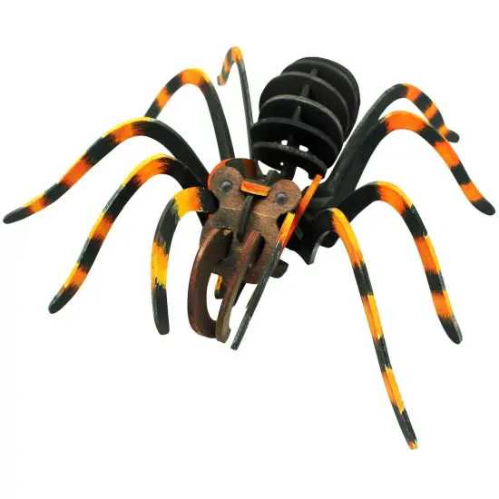 Extreme Spiders of the World - For Ages 6+ - Create and Customize Models and Dioramas - Study the Most Extreme Animals {5}