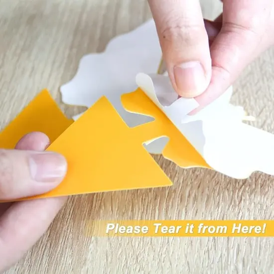 Fruit Fly Trap, Sticky Traps for Mosquito and Flying Insects, Insect Catcher {4}