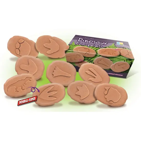 Let's Investigate Dinosaur Footprints {2}