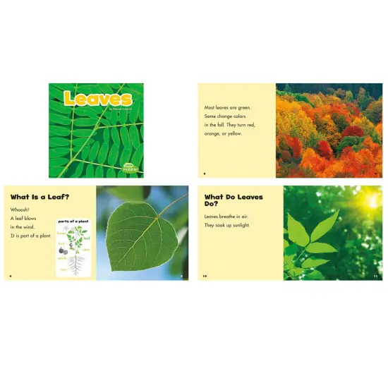 Plant Parts, Set of 6 books {4}