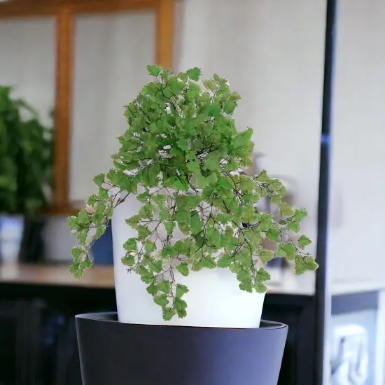 24-Pack: Maidenhair Fern Bush with 23 Fronds, 23" Wide, Floral Home by Artificial Flowers {2}