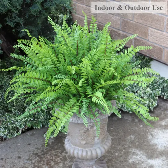 12-Pack: 18" Realistic Buckler Fern Bush with 7 Sprays {4}