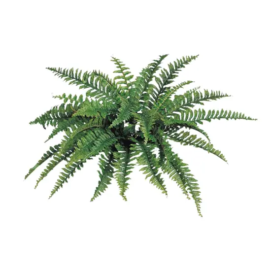 6-Pack: Boston Fern Plant with 42 Silk Fronds, 34" Wide by Floral Home&reg;, Floral Home by Artificial Flowers {1}
