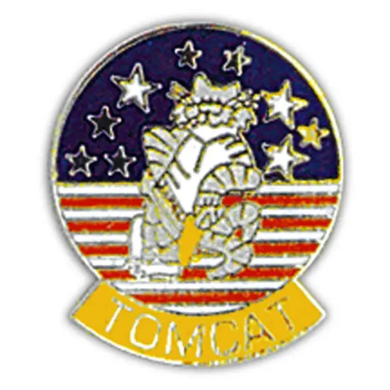 U.S. Navy Tomcat Pin 1" {1}