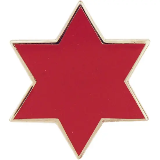 U.S. Army 6th Infantry Division Pin 1" {1}