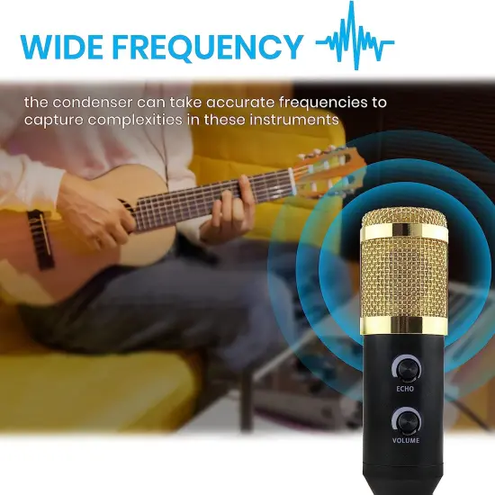 IDANCE RECORD STUDIO MIC 1 {2}