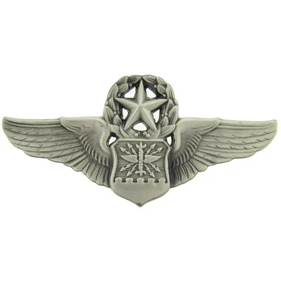 U.S. Air Force Master Navigator Observer Pin 1 1/4" {1}