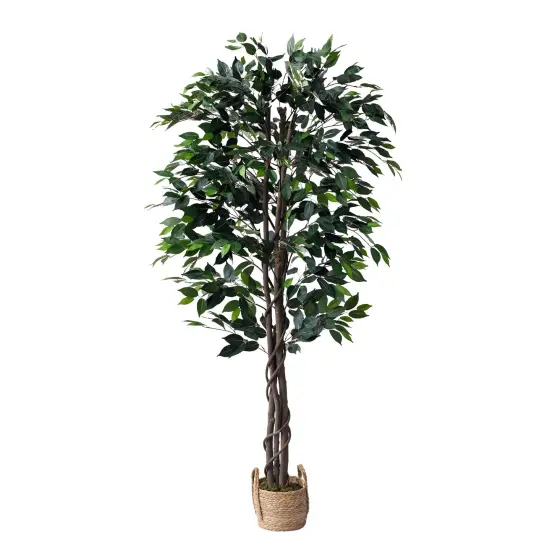 (2 Pack) 60"Artificial Ficus Tree in Basket (Set of 2) {3}