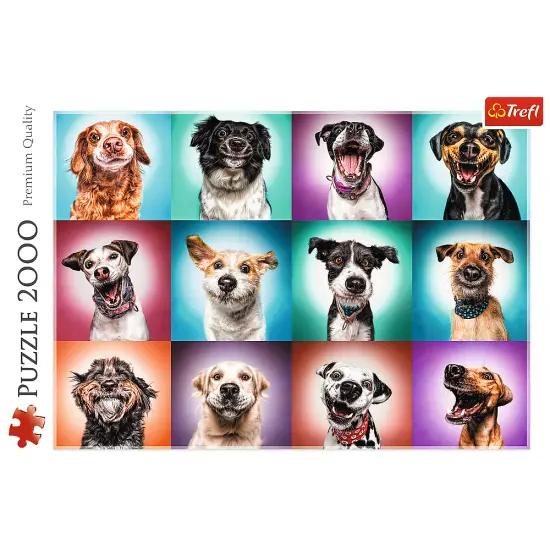 2000 piece Jigsaw Puzzles - Funny dog portraits II, Pets Puzzle, Adult Puzzles, Trefl 27119 {3}