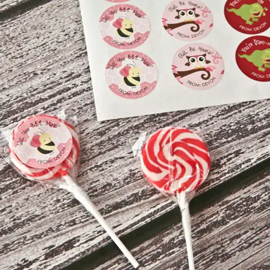 Big Dot of Happiness Valentine's Day - Assorted Valentine's Day Party Circle Sticker Pack - 24 Count {7}