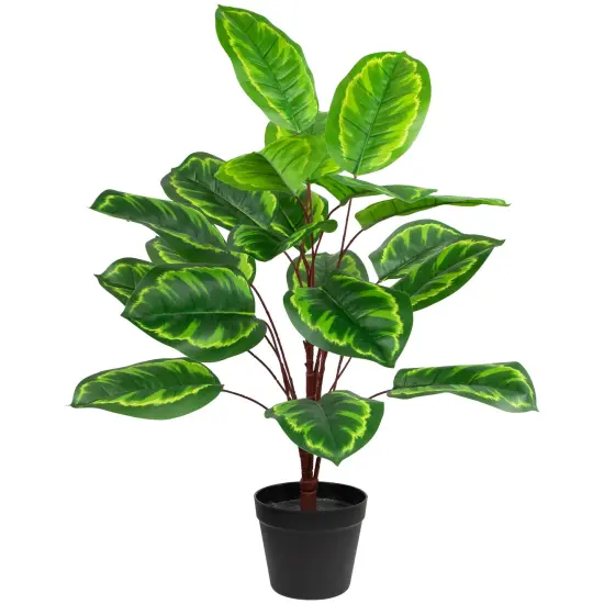 Northlight Two-Tone Calathea Artificial Potted Plant - 30" Green {1}