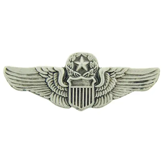 EagleEmblems P15441 Wing-USAF,Pilot,Master (Mini) (1.25'') {1}