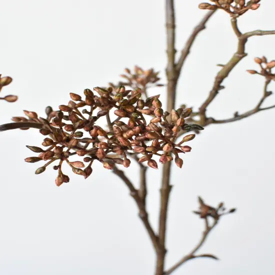 38" Faux Brown Sedum Berry Branch {1}