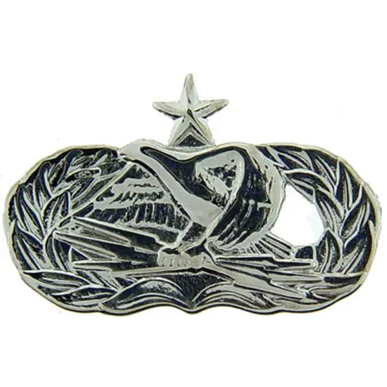 EagleEmblems P12077 Wing-USAF,COMMUNICAT.SR. Elect.Maint {1}