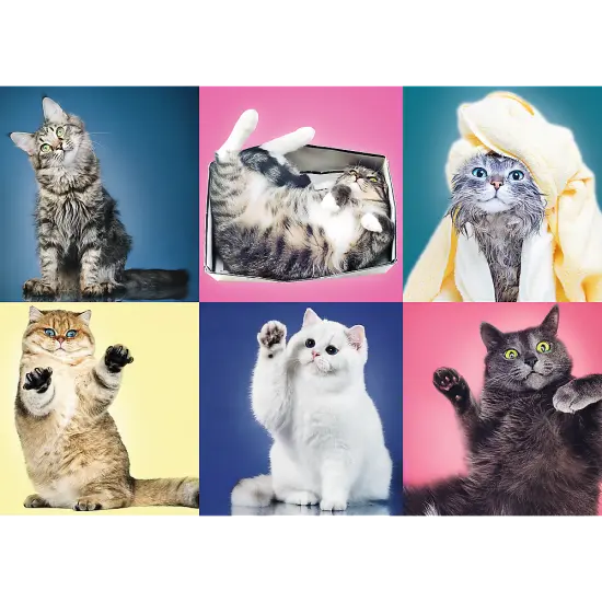 500 Piece Jigsaw Puzzle, Kittens, Silly Pets, Cat Collage, Adult Puzzles, Trefl 37377 {2}