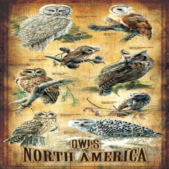 Sunsout Owls of North America 500 pc Jigsaw Puzzle 66415 {1}