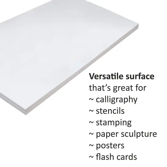 Tagboard, White, 12" x 18", 100 Sheets {2}