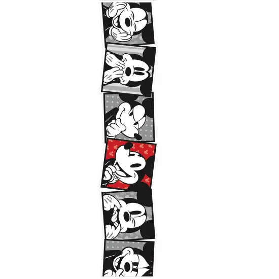 Mickey Mouse&reg; Throwback Mickey Selfies Extra Wide Deco Trim&reg;, 37 Feet Per Pack, 3 Packs {3}