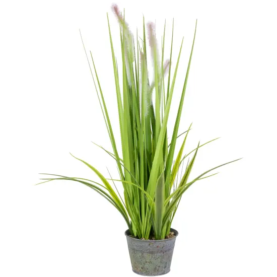 Northlight 24" Artificial Green Onion Grass Plant in Tin Pot {1}