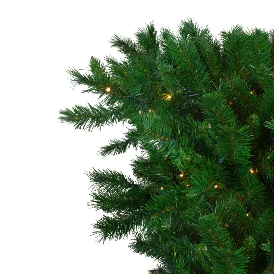 Northlight 7' Pre-Lit Green Sugar Pine Upside Down Artificial Christmas Tree - Clear Lights {4}