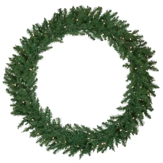 Northlight Pre-Lit Winona Fir Artificial Christmas Wreath - 48" - Warm White LED Lights Green {1}