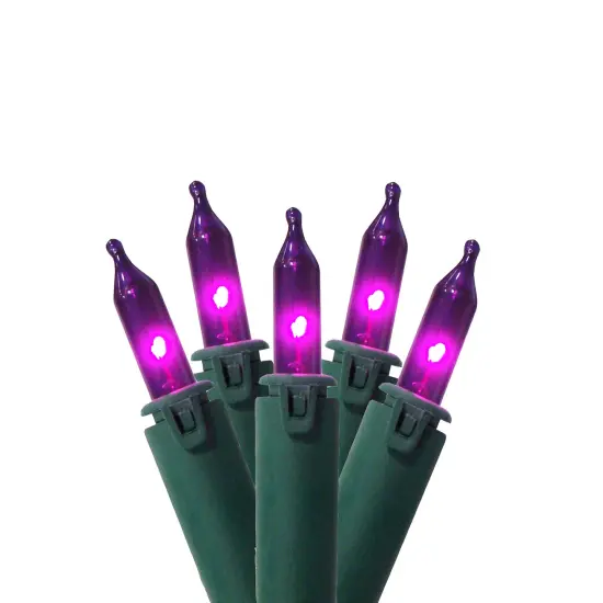 GKI/Bethlehem Lighting Commercial Mini Christmas Light Set - Purple - 45.5' Green Wire - 100ct {1}