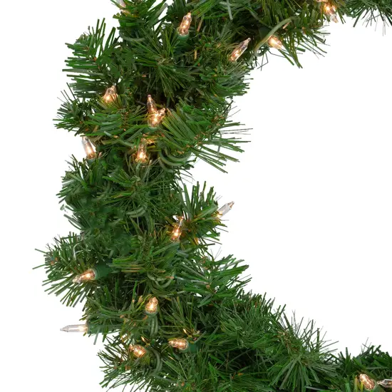 Northlight Pre-Lit Deluxe Windsor Pine Artificial Christmas Wreath - 18" - Clear Lights Green {3}