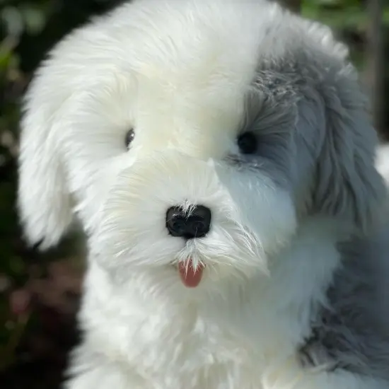 The Adorable 30-Inch Plush Sheepdog for Endless Cuddles and Comfort {1}