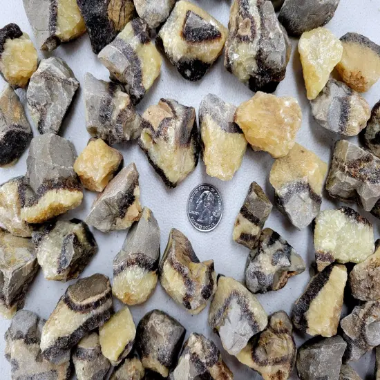 Raw Septarian Crystals - Rough Stones Bulk {4}