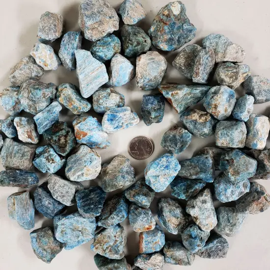 Blue Apatite - Rough Stones Bulk {4}