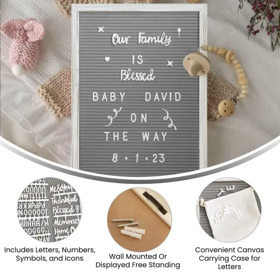 Emma and Oliver Bette Felt Letter Board Set with 389 Letters Including Numbers, Symbols, Icons and a Canvas Carrying Case {7}