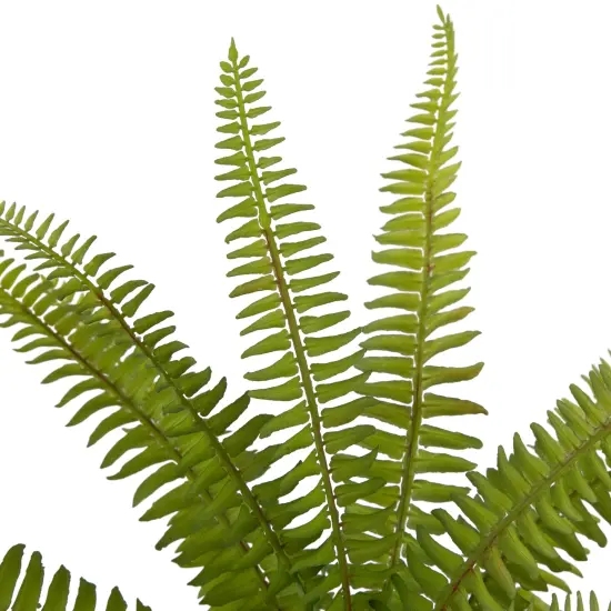 Northlight Real Touch&trade; Artificial Boston Fern Plant in Aztec Pattern Ceramic Pot - 12" Green {7}