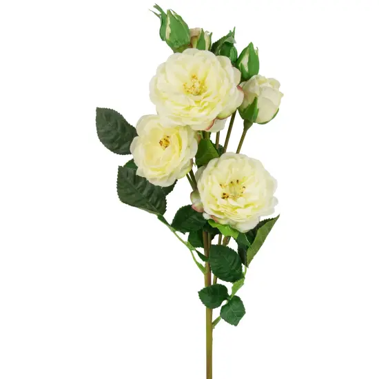 Northlight Real Touch&trade; White Artificial Camellia Rose Floral Sprays, Set of 6 - 23" {5}