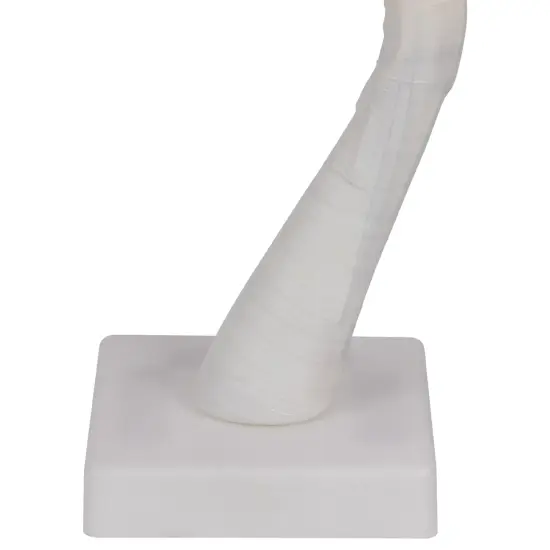 Northlight LED Lighted Rose Flower Tree Decoration - 17" - Pink and White {7}