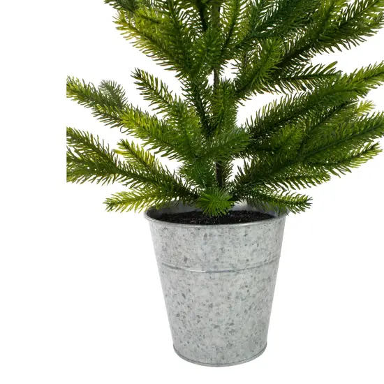 Northlight 2' Potted Pine Medium Artificial Christmas Tree &ndash; Unlit Green {4}