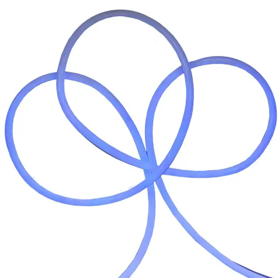 Northlight LED Commercial Grade Flexible Christmas Rope Lights - Blue - 18' Blue Wire {3}