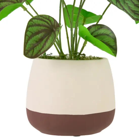 Northlight Artificial Peperomia Plant in Two-Tone Ceramic Pot - 10.25" Green {5}