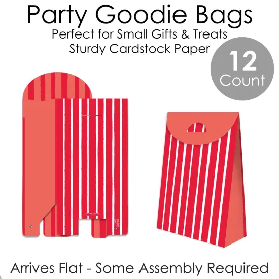 Big Dot of Happiness Red Stripes - Simple Gift Favor Bags - Party Goodie Boxes - Set of 12 {7}