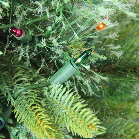 Northlight Pre-Lit Full Ashcroft Cashmere Pine Artificial Christmas Tree - 3' - Multi AlwaysLit Lights Green {3}