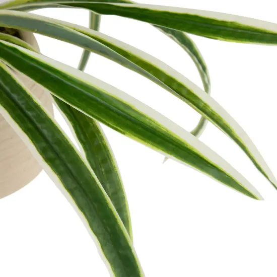 Northlight Artificial Spider Plant in Beige Ceramic Pot - 20" Green {6}