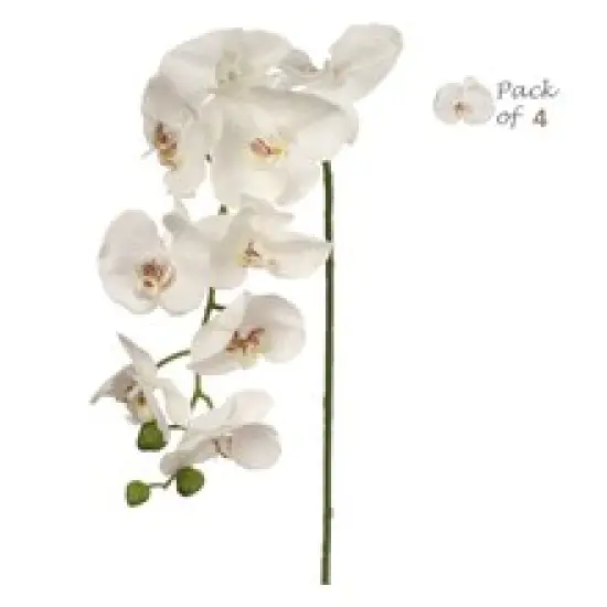 White Phalaenopsis Orchid Stem: Set of 4, 33.5-Inch, Floral Home by Artificial Flowers {1}