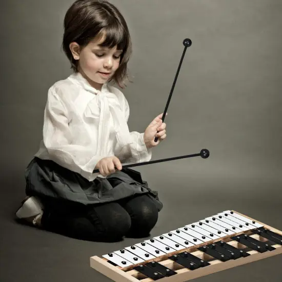 27 Note Glockenspiel Xylophone with 2 Rubber Mallets {6}